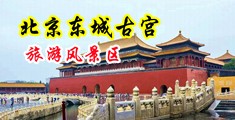 插阴小穴视频中国北京-东城古宫旅游风景区